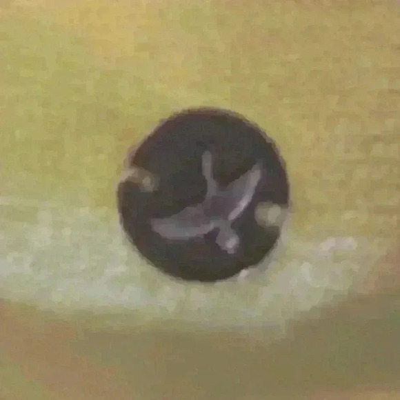 NWT Eddie Bauer Yellow Button Up - Picture 4 of 9